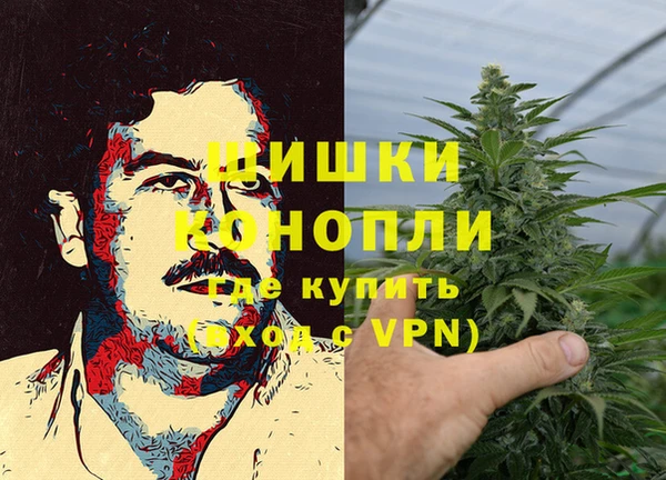 дурь Кинешма